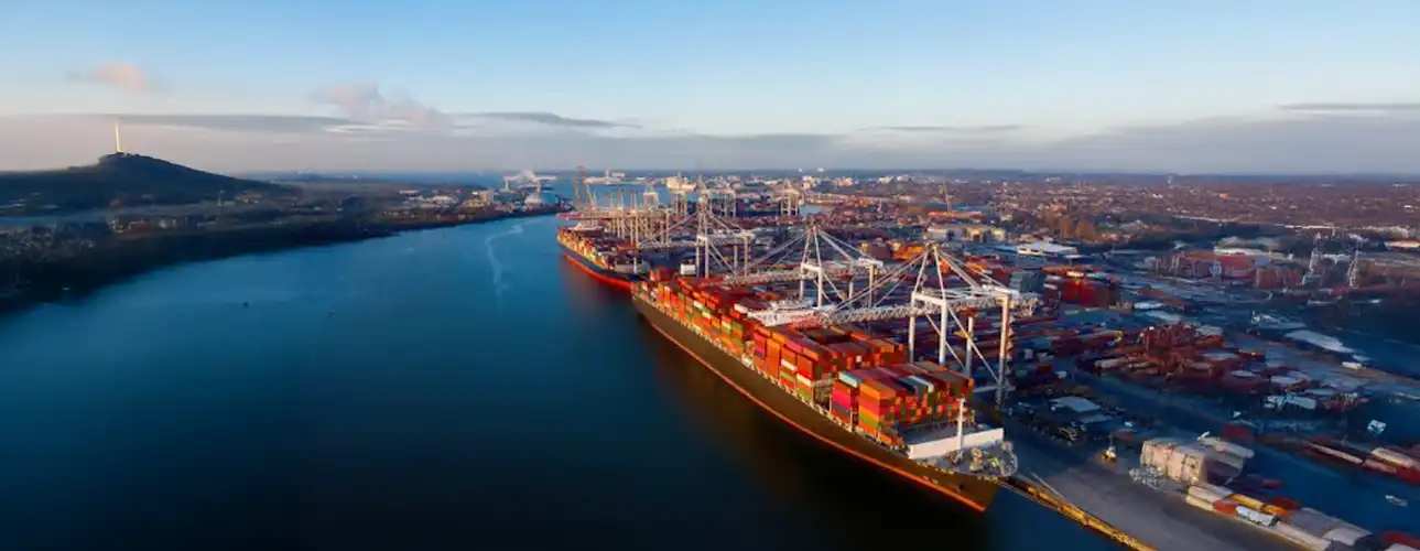 Understanding the Domino Effect in Global Shipping - From Local Disruption to Global Rate Spikes - Banner image