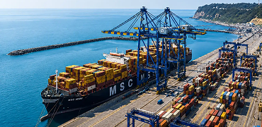 MSC's Vizhinjam Bet