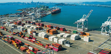 Port Performance Isn't One Number: How Importers Should Read Dwell Time, Chassis Availability & Terminal Data in 2025